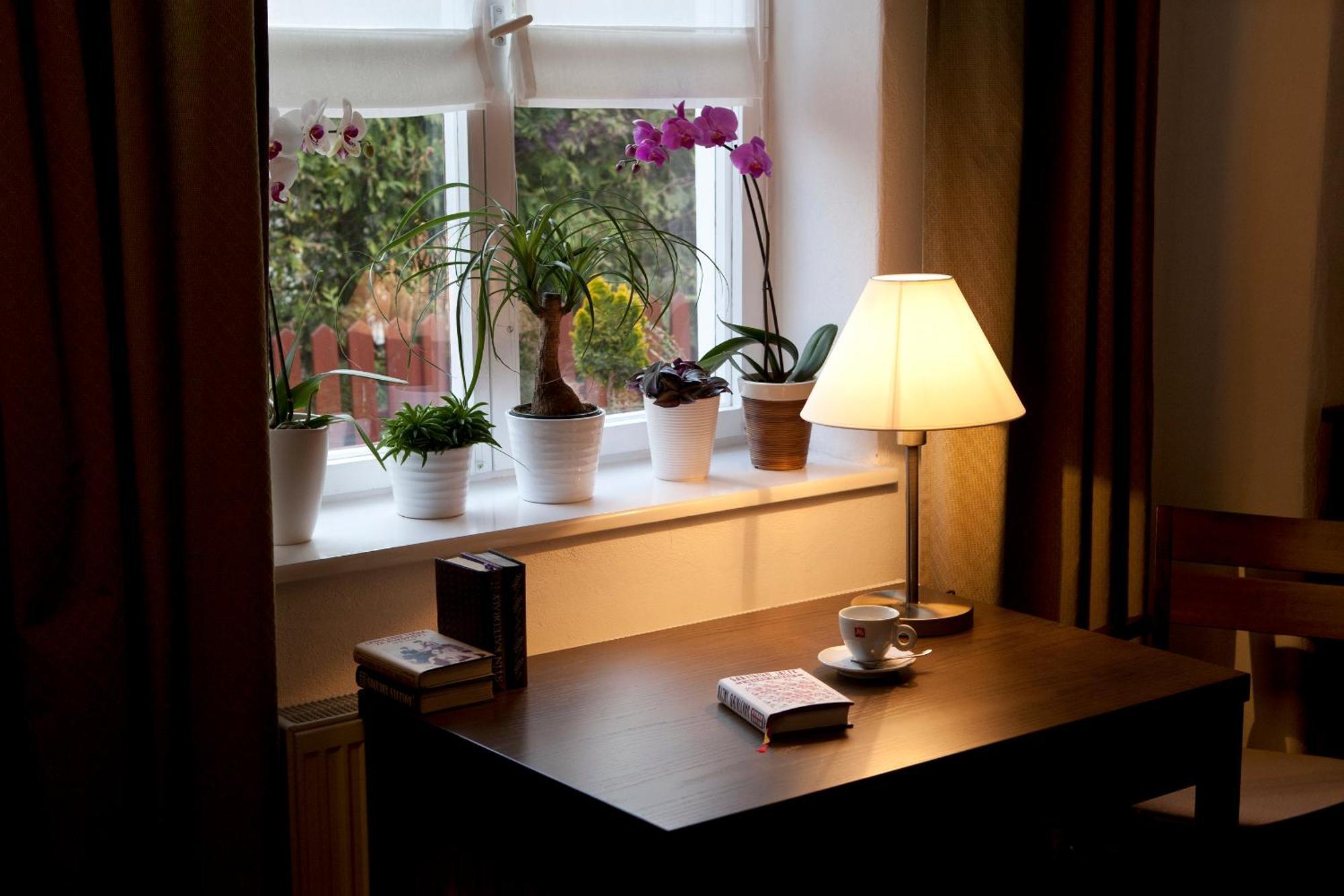 Apartmany Supina Trebon Exterior photo